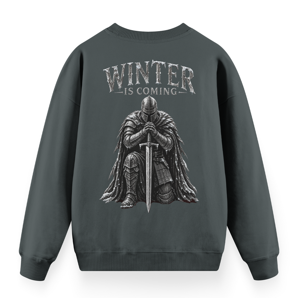 Winter Antrasit
